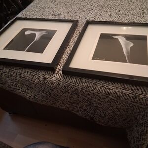 Source Unknown Black and White Floral Art Set